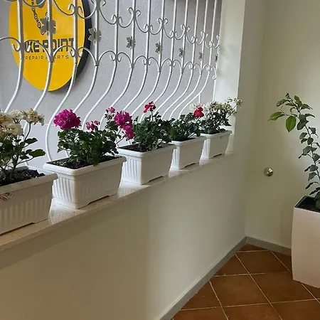 4seasonsgea , Cozy In Position , Apartamento Tirana