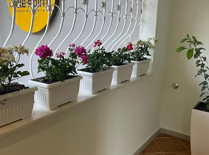 4seasonsgea , Cozy In Position , 아파트 티라나