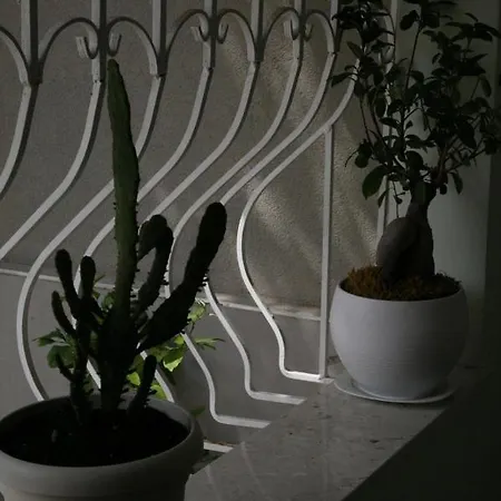 4seasonsgea , Cozy In Position , *