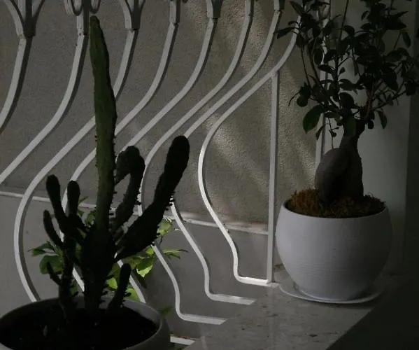 4seasonsgea , Cozy In Position , *